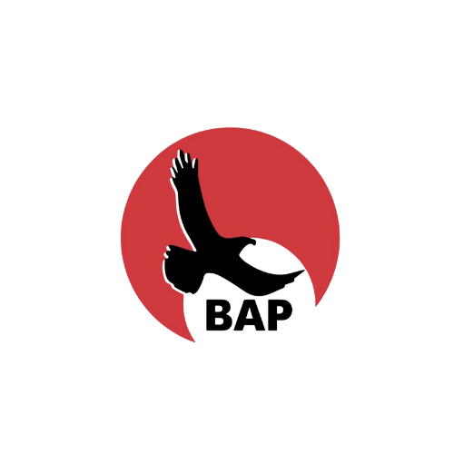 Parti Teşkilatlanma Çalışmaları Hızla Devam Ediyor